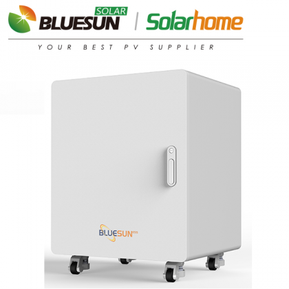 Акумуляторна батарея Bluesan BSM48106 (LiFePO4 51,2V 106Ah 5,24kW)